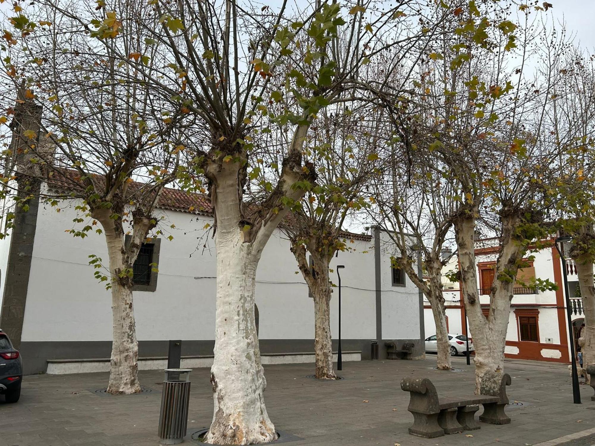 Апартаменти Vivienda Alpa Fontanales Agua de Fontanales Екстер'єр фото